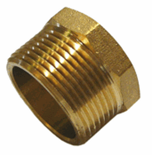 Screwed Brass Plug