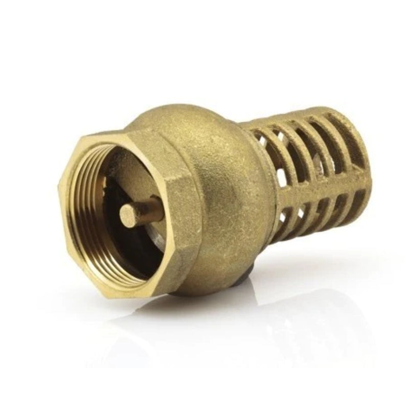 Brass Foot Valve
